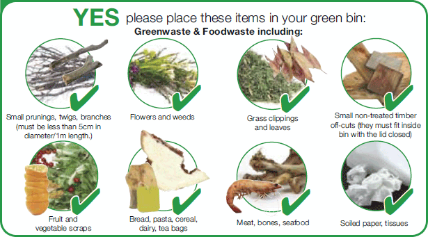please place these items in your green bin